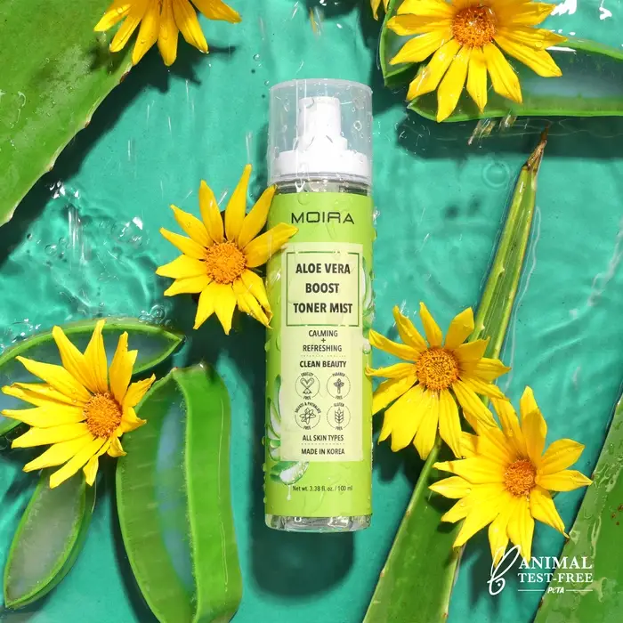 785-84aa3dd3-686f-4b05-8354-25c154132a62.webp Bruma tónica Aloe Vera Boost - Imagen 1